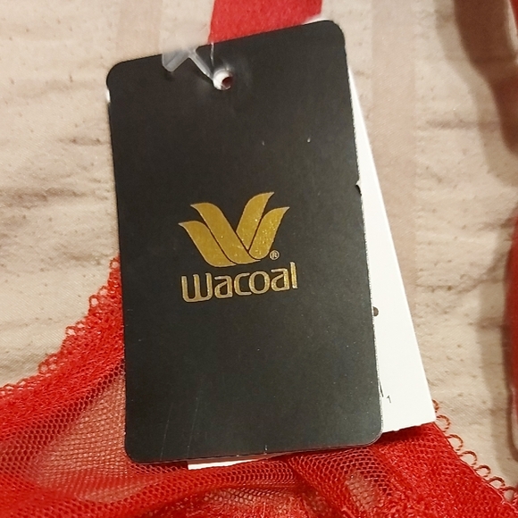 Wacoal Scarlet Lace Bra - Picture 2 of 7